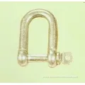 Commercial Galvanized Shackle with Good Quality
